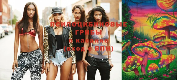 хмурый Вязьма